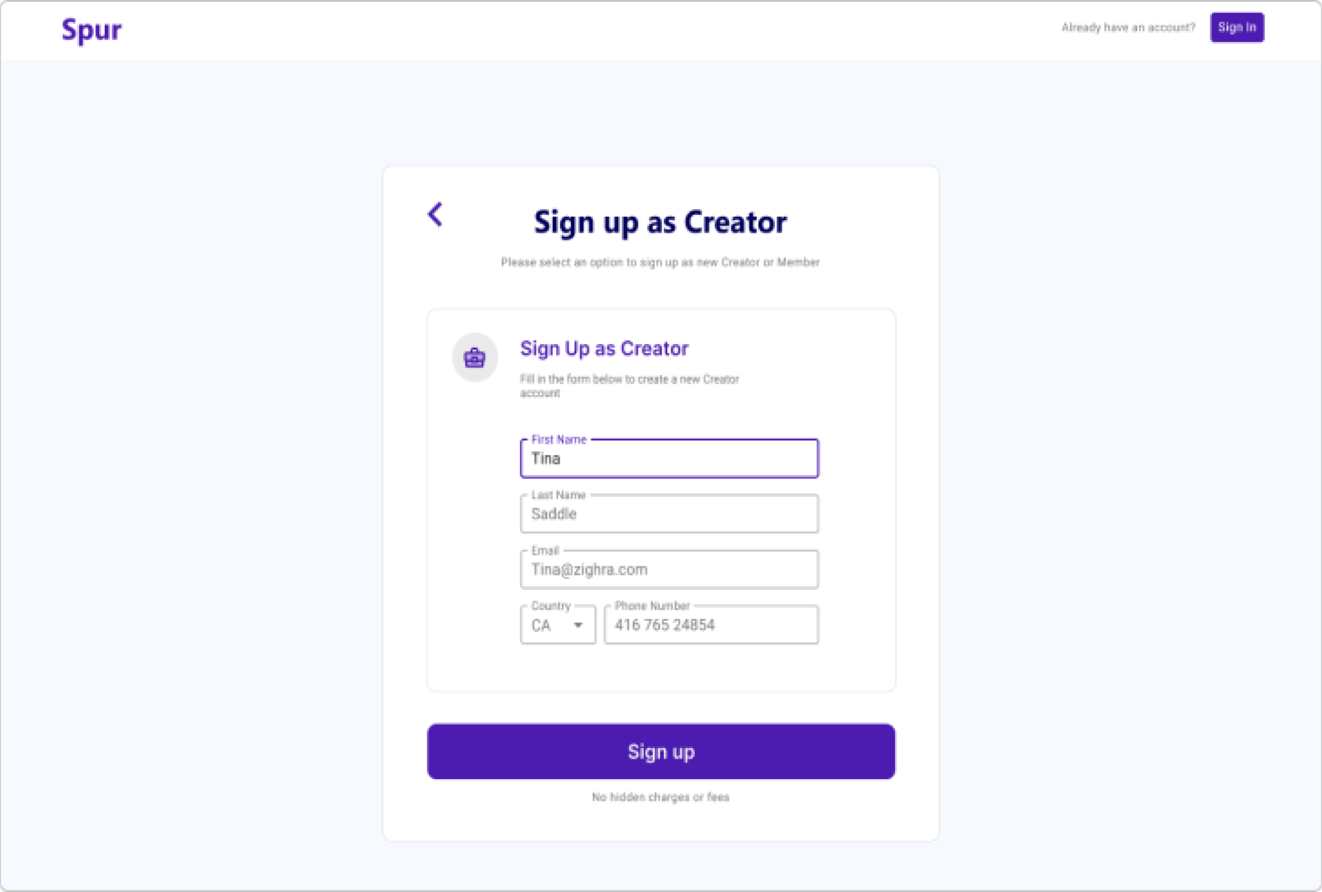 Final web design, additional view